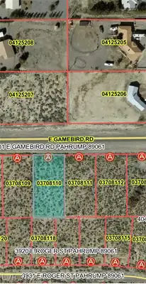 3901 East Gamebird Road, Pahrump, NV 89048 Plat Map