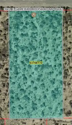 3901 East Gamebird Road, Pahrump, NV 89048 Plat Map