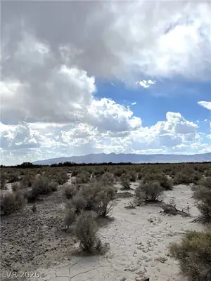 3901 East Gamebird Road, Pahrump, NV 89048 View