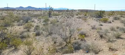 004 Encinitas Searchlight, NV 89046