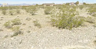 2400 South Crow Lane Pahrump, NV 89048