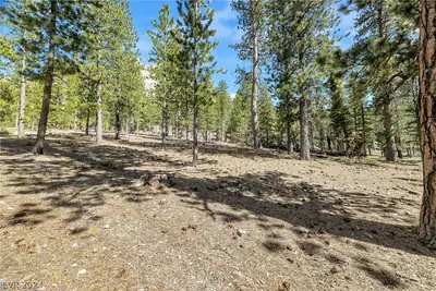 Lee Canyon Road 