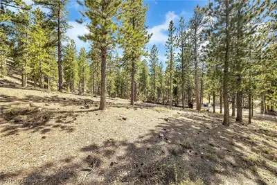 Lee Canyon Road 