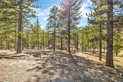 Lee Canyon Road 