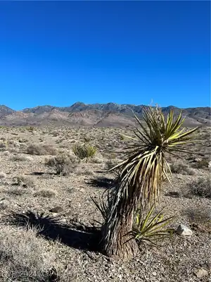 2381 East Mazzuka Avenue, Pahrump, NV 89060 