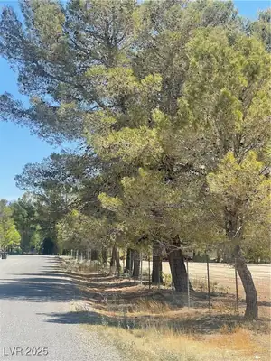 2431 Dyer Court, Pahrump, NV 89048 View