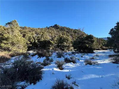 P-19 Butte Valley Ely, NV 89301