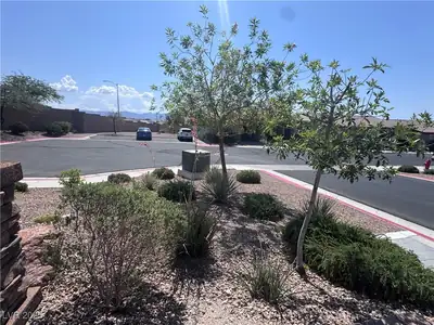 2653 Crystal Blue Street, Laughlin, NV 89029 Community