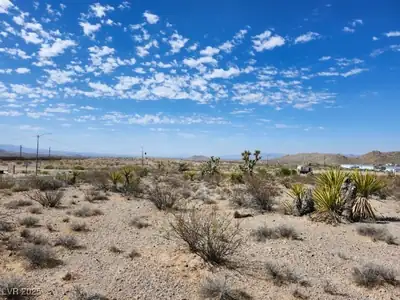 Cottonwood Cove Road View