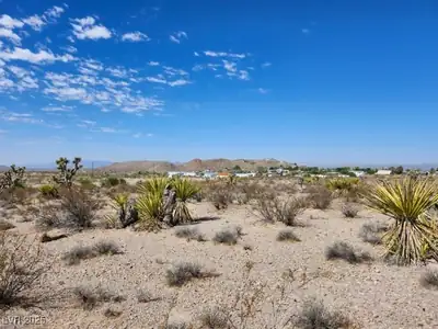 Cottonwood Cove Road View