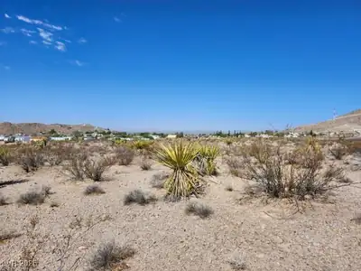 Cottonwood Cove Road Other