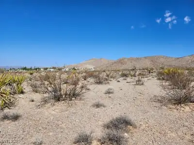 Cottonwood Cove Road View