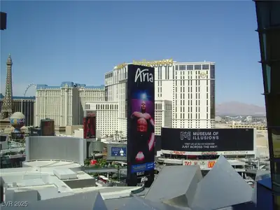 3726 Las Vegas Boulevard 1411 View