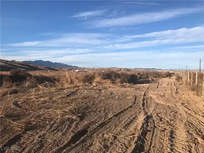 Quarter Horse View