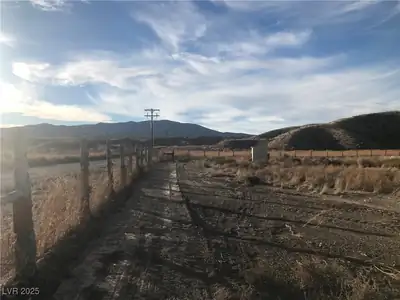 Quarter Horse Community