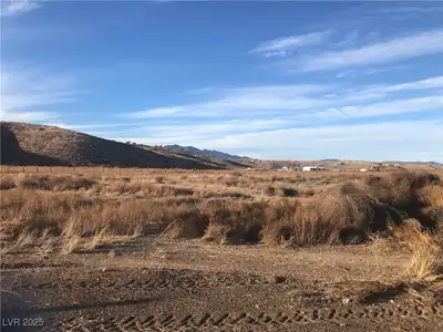 Quarter Horse View