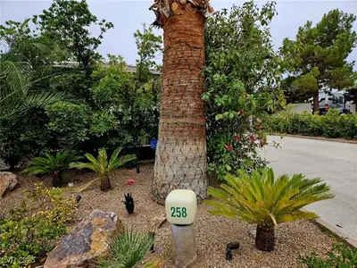 8175 Arville Street 258 Yard