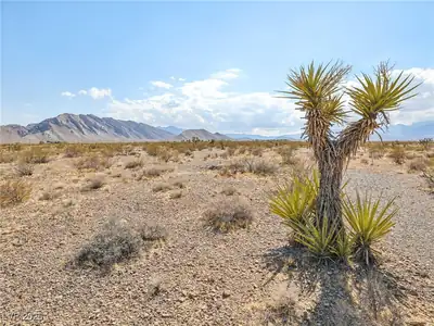 Pringle Las Vegas, NV 89166