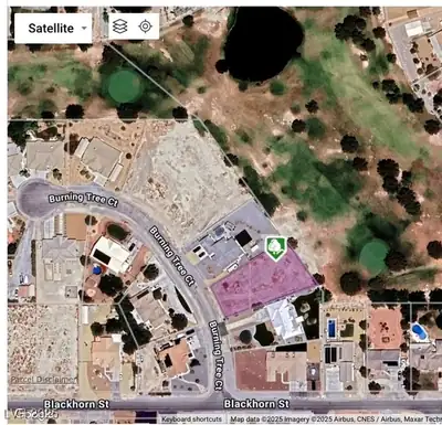 3161 Burning Tree Court Pahrump, NV 89048