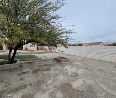 8701 Shady Pines Drive, Las Vegas, NV 89143 Yard
