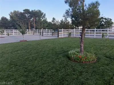 1080 Shady Lane, Pahrump, NV 89060 Yard
