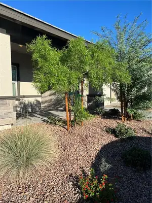 1173 Melody Lark Street, Henderson, NV 89011 Yard