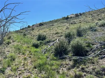 Canyon Peak, Pioche, NV 89043 View