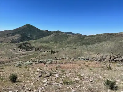 Canyon Peak, Pioche, NV 89043 View