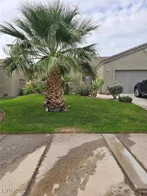 463 Hagens Alley, Mesquite, NV 89027 Yard