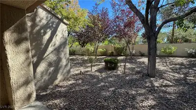 2202 Spring Water Drive Yard