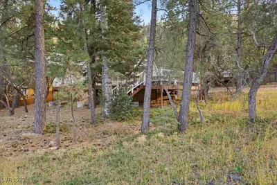 4101 Mont Blanc Way, Mount Charleston, NV 89124 Yard