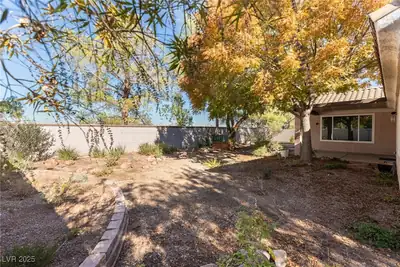 264 Chestnut Ridge Circle, Henderson, NV 89012 Yard