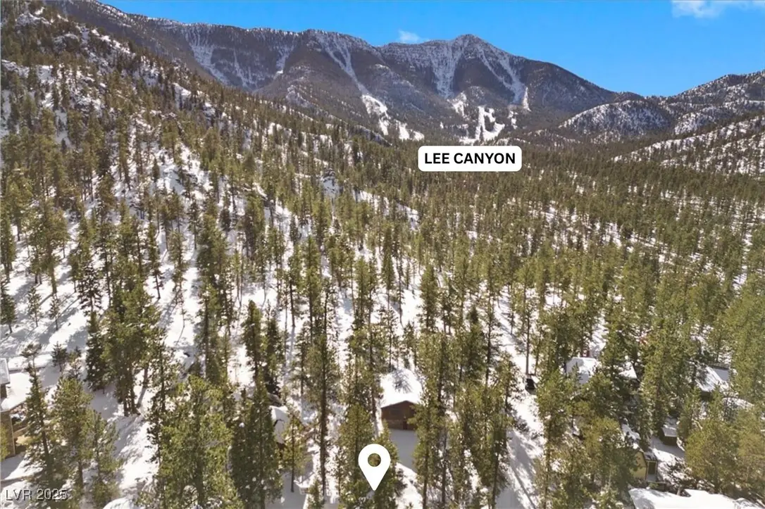 2130 Via Vita Street, Mount Charleston, NV 89124