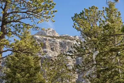 2130 Via Vita Street, Mount Charleston, NV 89124 View