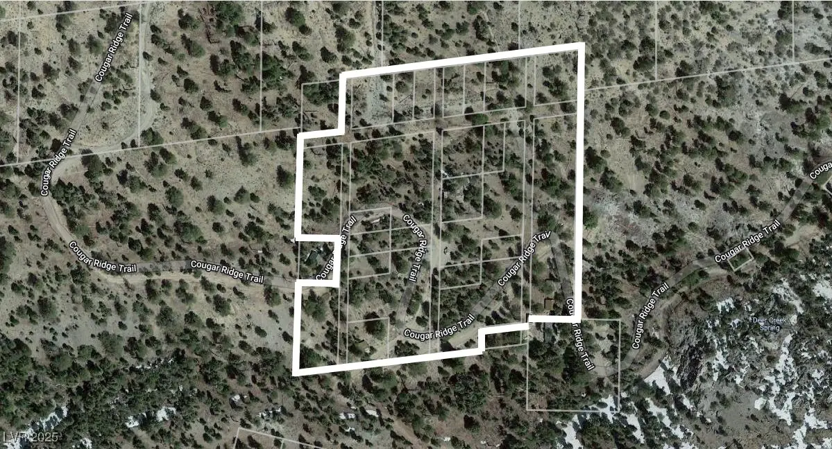 4085 Cougar Ridge Trail, Mount Charleston, NV 89124