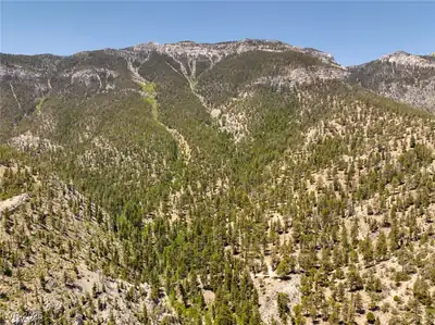 4085 Cougar Ridge Trail, Mount Charleston, NV 89124 