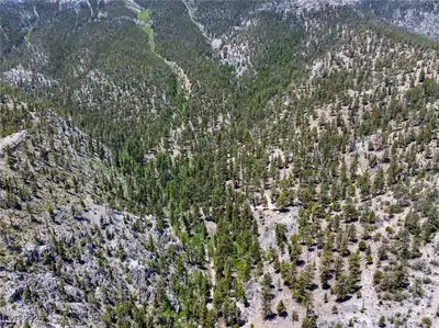 4085 Cougar Ridge Trail, Mount Charleston, NV 89124 
