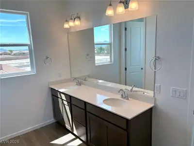 4349 South Angel Falls Court Lot 29/3 Primary Bathroom