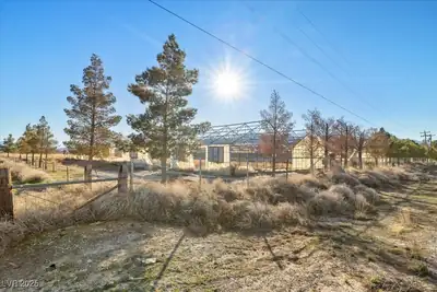 3171 Tillman Street, Pahrump, NV 89061 Yard