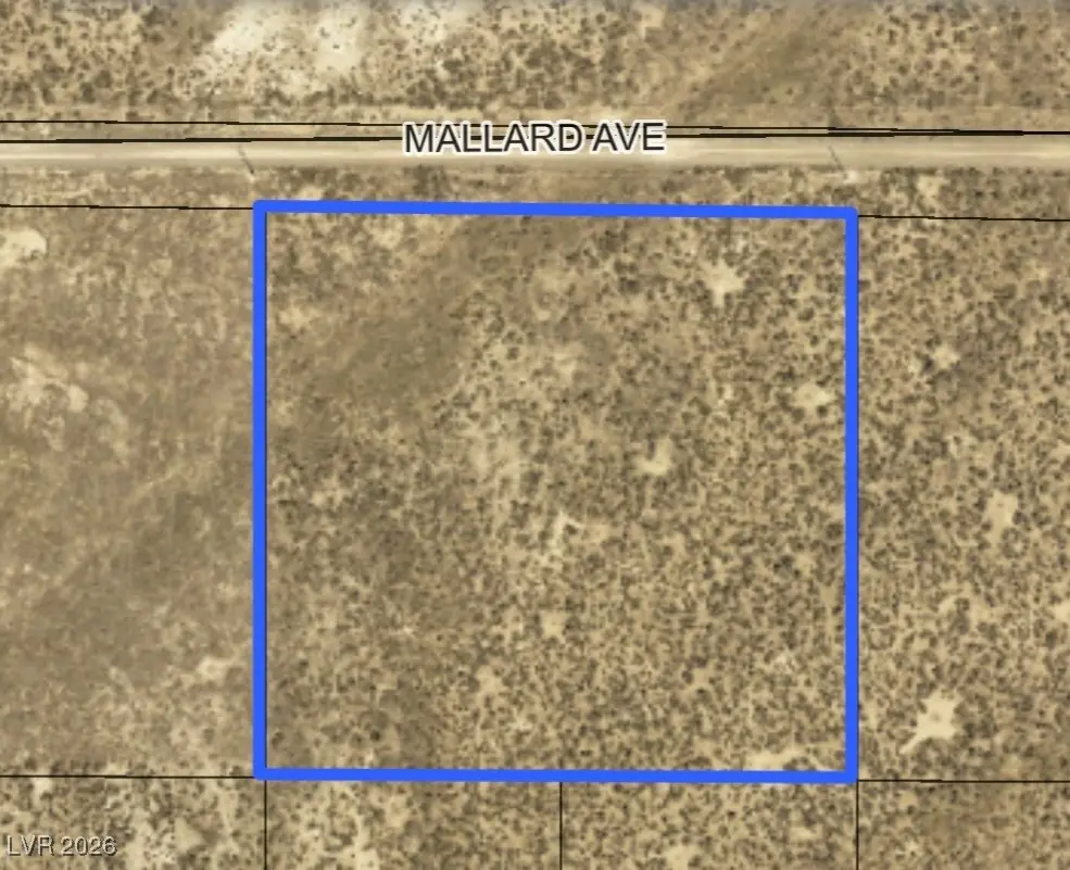 Mallard Avenue, Elko, NV 89801