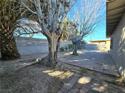 1909 Leona Street, Las Vegas, NV 89106 Yard