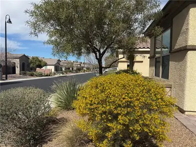 2646 Cooper Gallery Street, Henderson, NV 89044 Yard