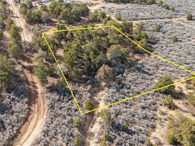 Pinion Pines Aerial View