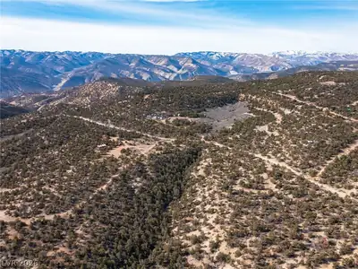 Pinion Pines View