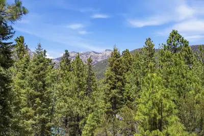 3953 Ski Trail Circle, Mount Charleston