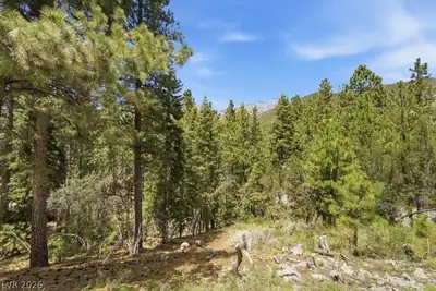 3953 Ski Trail Circle, Mount Charleston, NV 89124 View