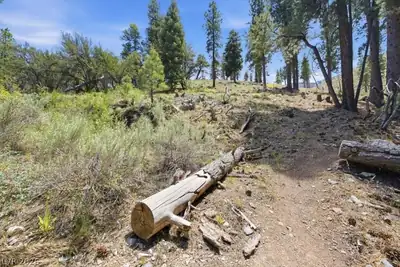 3953 Ski Trail Circle, Mount Charleston, NV 89124 Lot