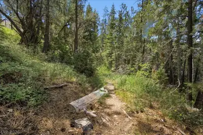 3953 Ski Trail Circle, Mount Charleston, NV 89124 Lot