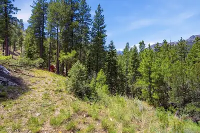 3953 Ski Trail Circle, Mount Charleston, NV 89124 Aerial View