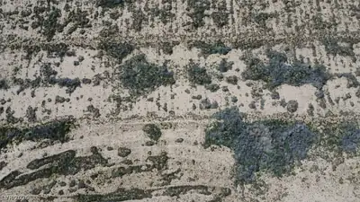 4181 South Fox Avenue Aerial View